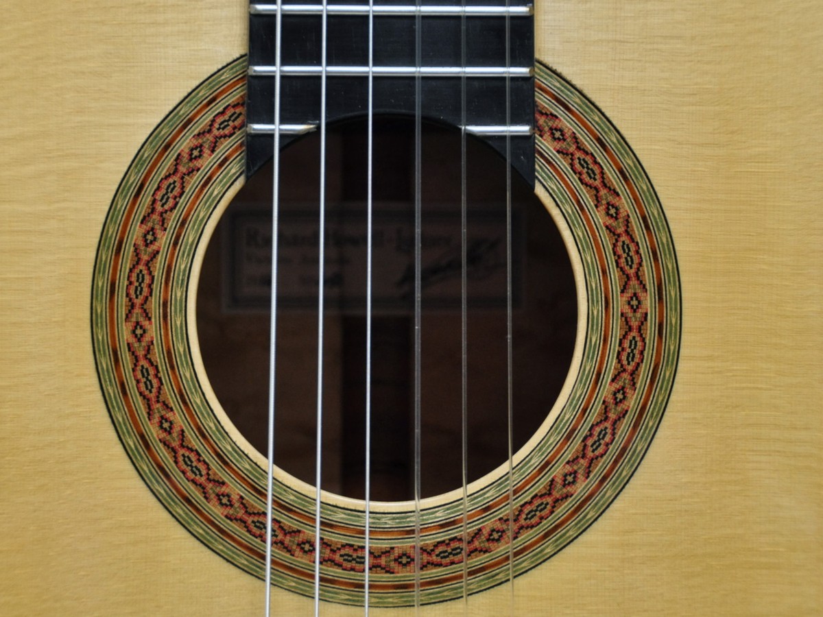 Howell Guitar - Birdseye Maple cover photograph