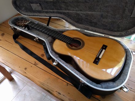 Howell Guitar # 480 - Masters Series No 13. Torres Ornate Model photograph 99
